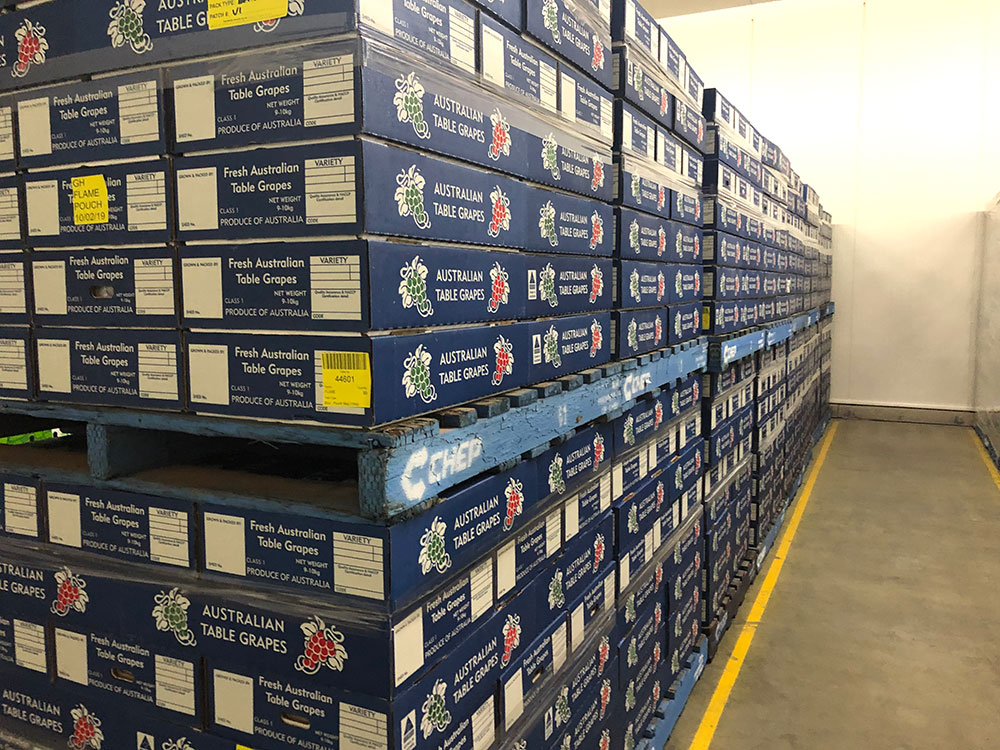 Shipping Cartons for eggs