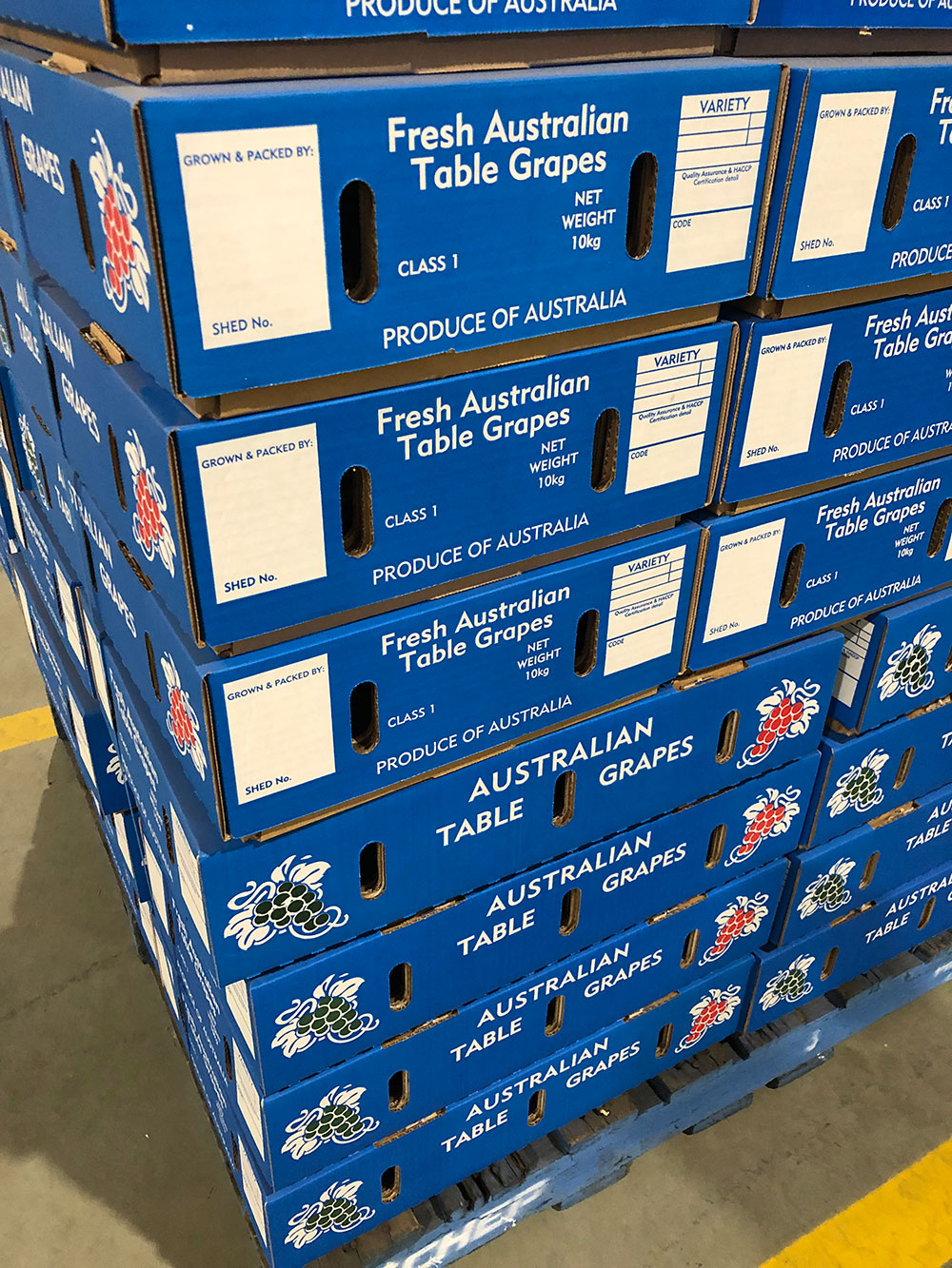 Costco Trays